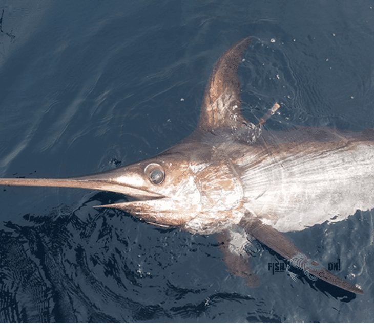 Islamorada Fishing Spots - Offshore - GPX Fishing Numbers