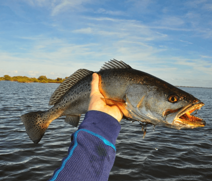 Galveston Bay Fishing Spots - GPS Fishing Numbers