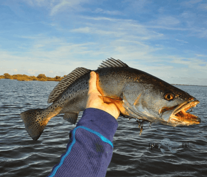 St Augustine Fishing Spots -Coastal Near Shore - GPX fishing numbers