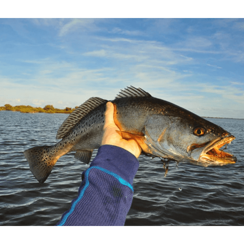 Sarasota Fishing Spots - Coastal Nearshore - GPX numbers