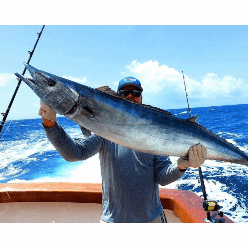 Venice & Pt Charlotte Offshore - Fishing Spots GPX Fishing Numbers