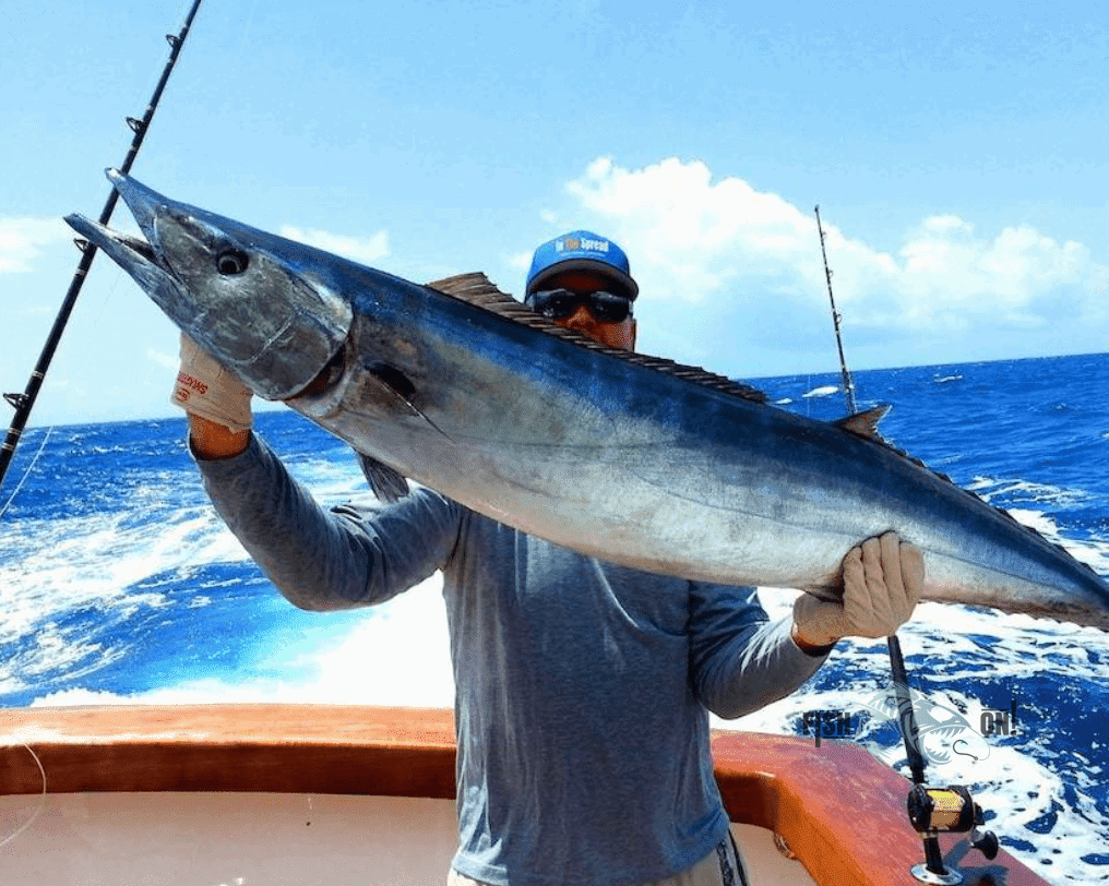 Port Arthur Fishing Spots - Offshore - GPS Fishing Numbers