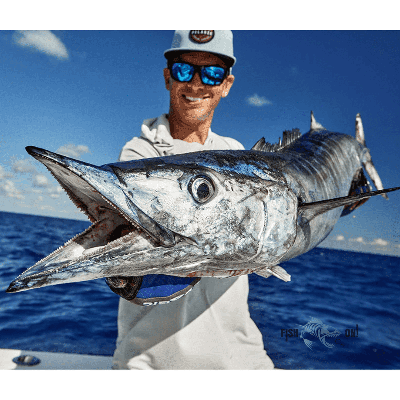 Sarasota Offshore Fishing Spots Offshore GPX Fishing Numbers Fish On