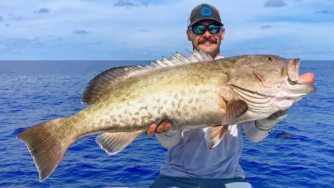 Hillsboro Inlet Fishing Spots