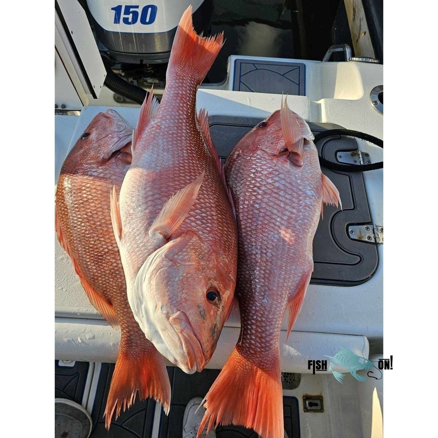 Sarasota & Venice - Red Snapper Offshore Fishing Spots