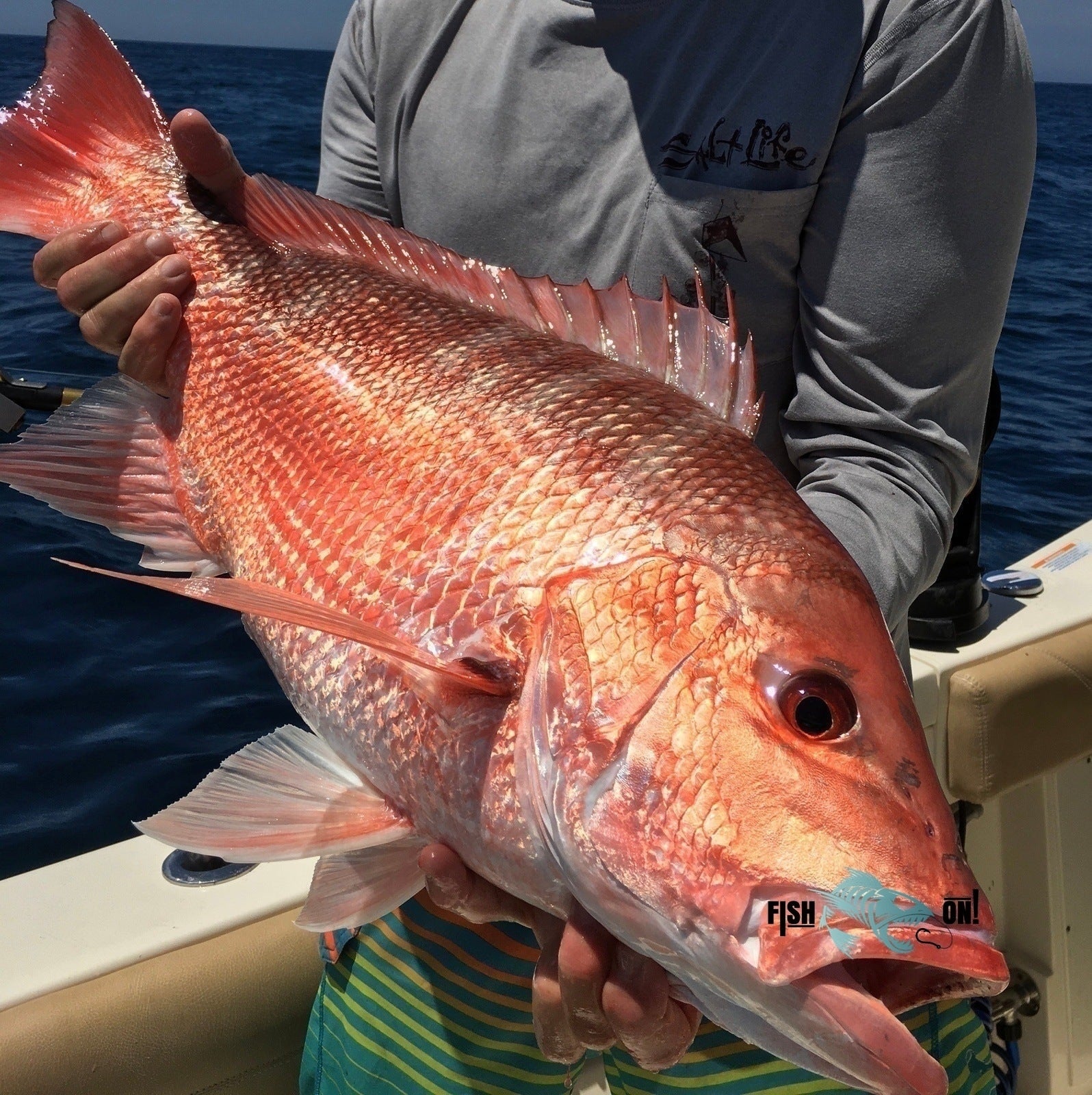 Pulley Ridge Fishing Spots - Deep Water Offshore - GPS Numbers – Fish On