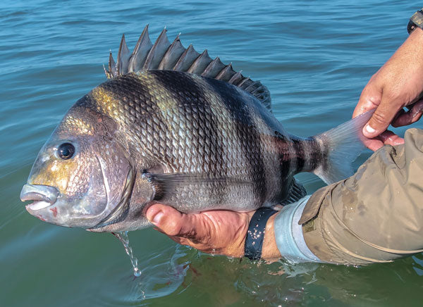 South Padre Fishing Spots - Coastal Near Shore - GPX Fishing Numbers