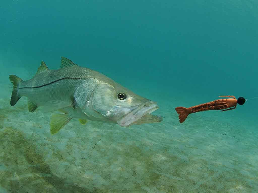 Venice Fishing Spots - Nearshore Numbers